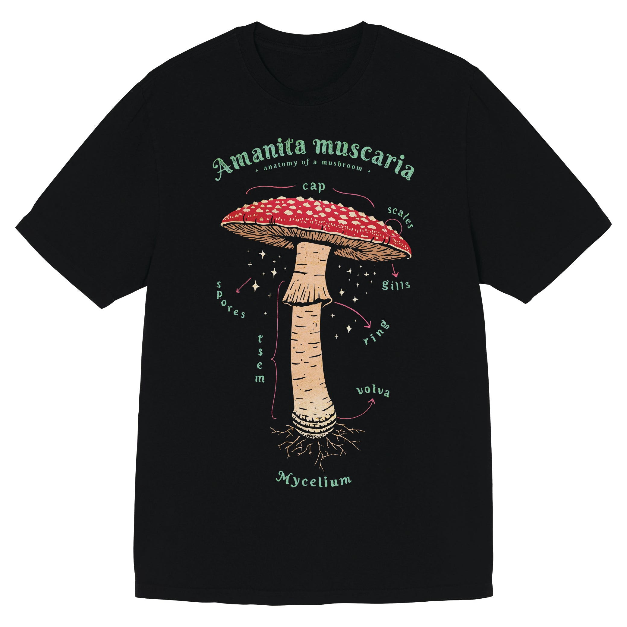 Amanitamuscaria Fungi